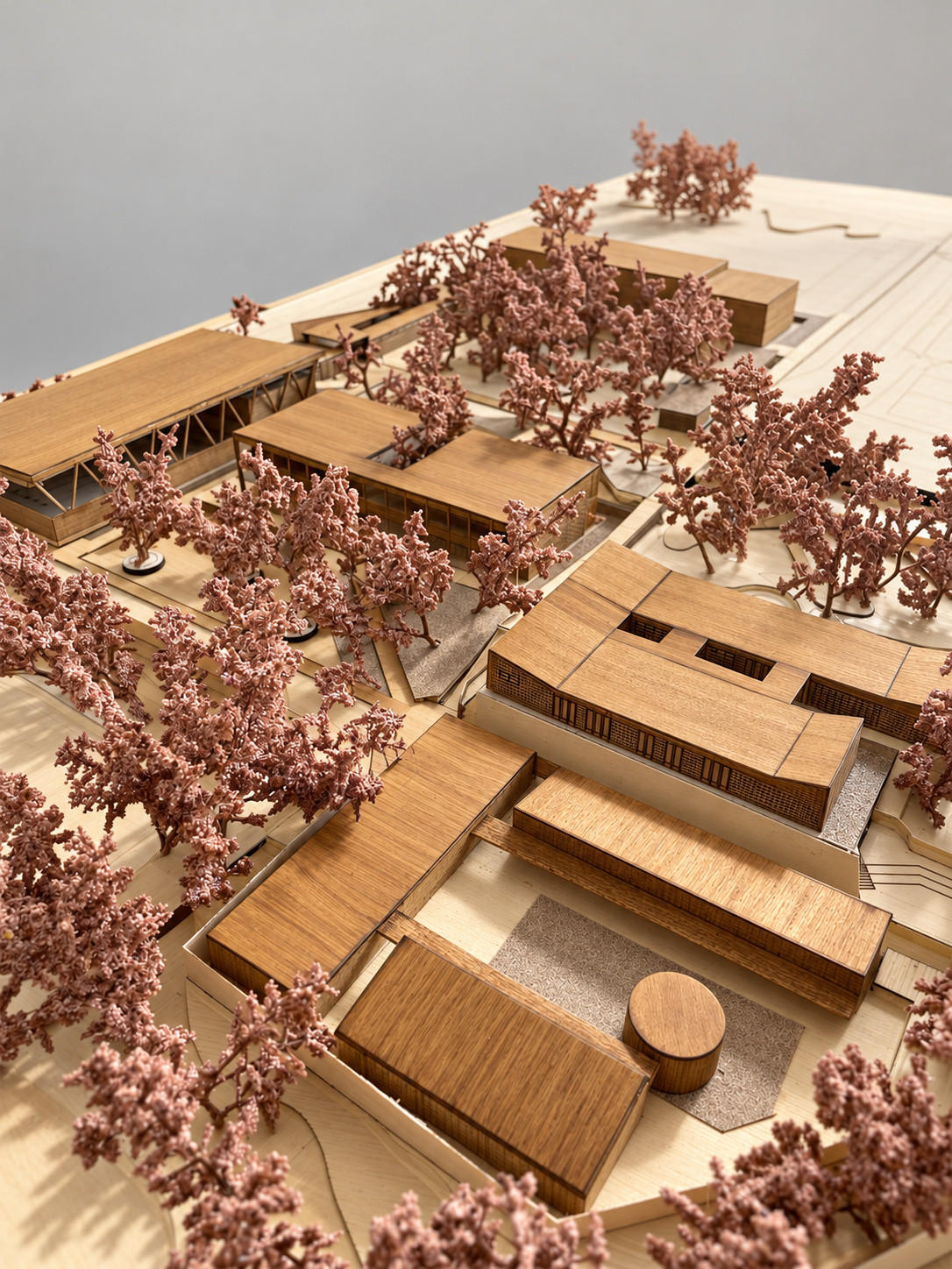 Proceso del modelo — Vegetación y acabados del modelo de madera.